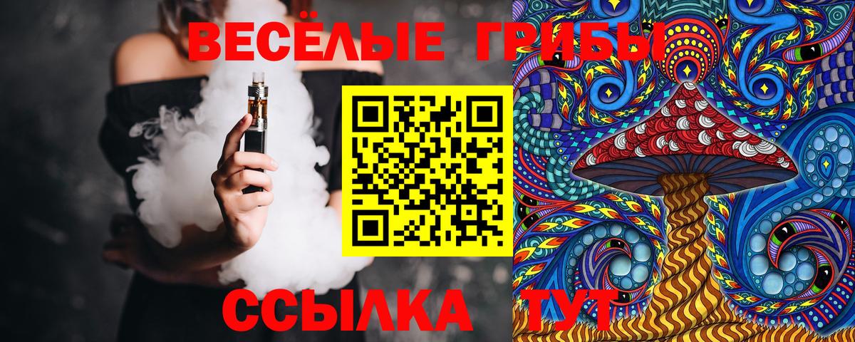 Удомля  Галлюциногенные грибы Psilocybe  Вход с VPN 